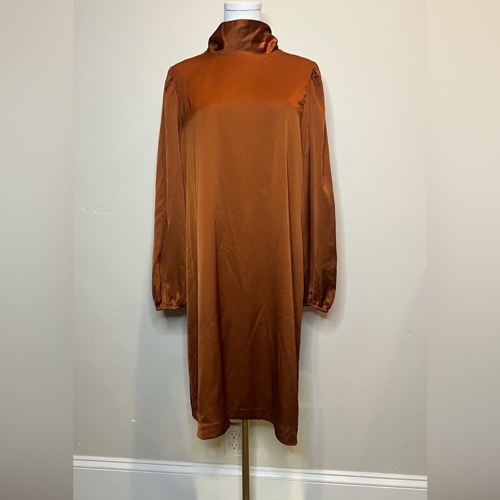 Elegant Rust Colored Long Sleeve Dress